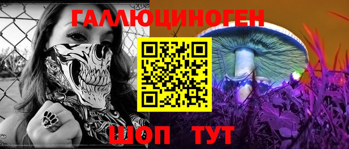 купить наркотик  Галлюциногенные грибы MAGIC MUSHROOMS  Вход с VPN  Мирный 